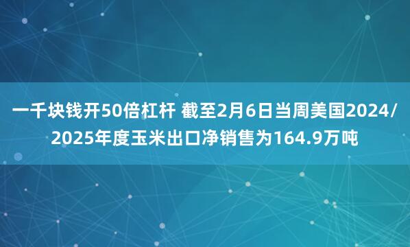 一千块钱开50倍杠杆 截至2月6日当周美国2024/2025年度玉米出口净销售为164.9万吨