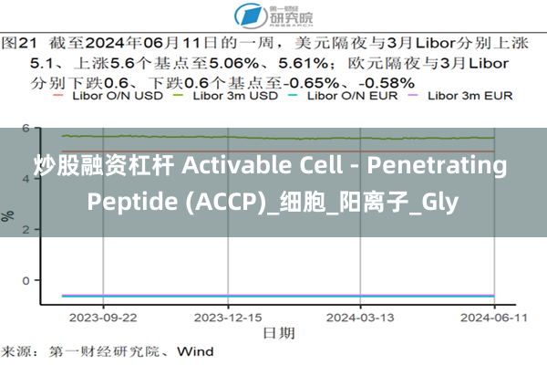 炒股融资杠杆 Activable Cell - Penetrating Peptide (ACCP)_细胞_阳离子_Gly